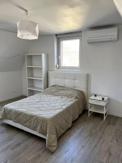 Appartement F5 Maison De Maitre Mulhouse Extérieur photo