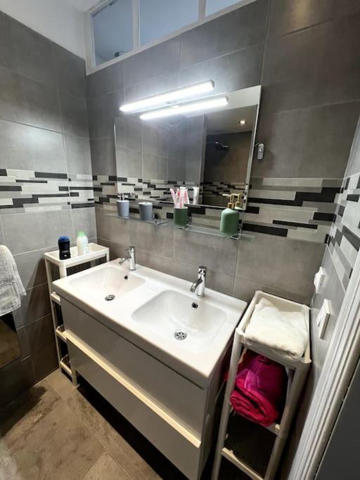 Appartement F5 Maison De Maitre Mulhouse Extérieur photo