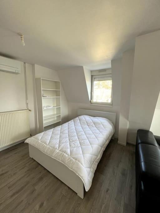 Appartement F5 Maison De Maitre Mulhouse Extérieur photo
