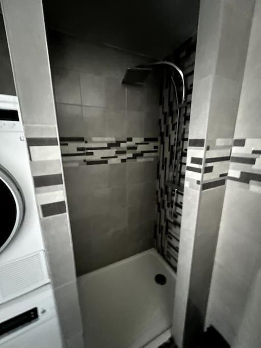 Appartement F5 Maison De Maitre Mulhouse Extérieur photo