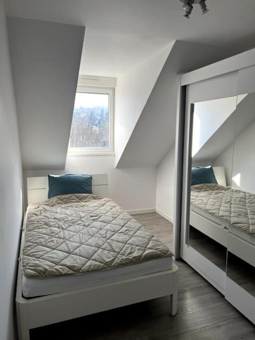 Appartement F5 Maison De Maitre Mulhouse Extérieur photo