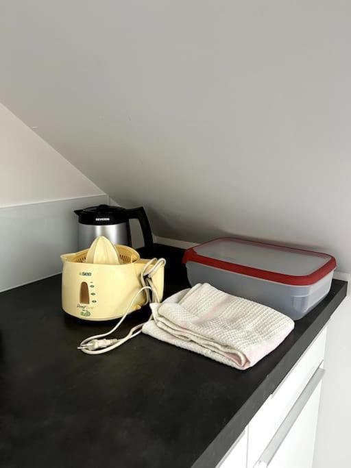 Appartement F5 Maison De Maitre Mulhouse Extérieur photo