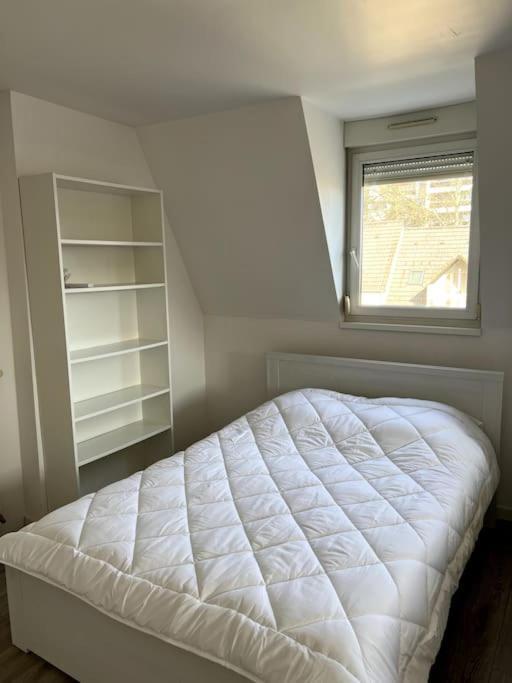 Appartement F5 Maison De Maitre Mulhouse Extérieur photo