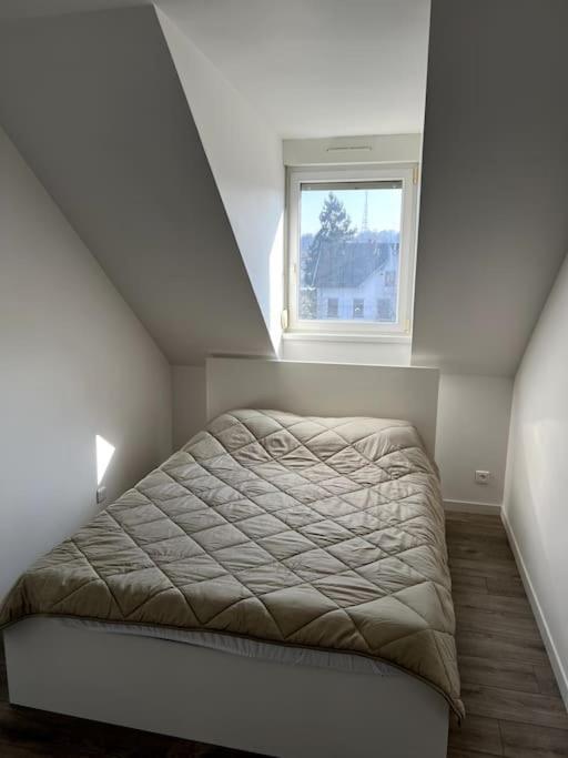 Appartement F5 Maison De Maitre Mulhouse Extérieur photo